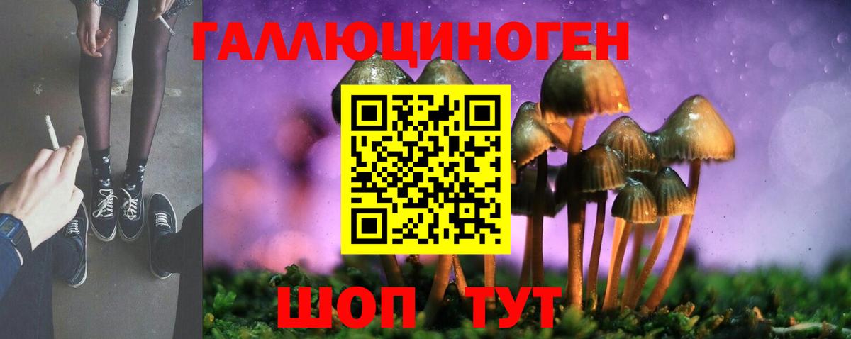 Белебей  Галлюциногенные грибы GOLDEN TEACHER  цены   Вход с VPN  Псилоцибиновые грибы Psilocybine cubensis 